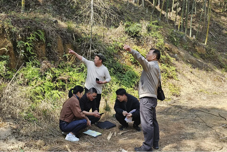 暫無圖片
