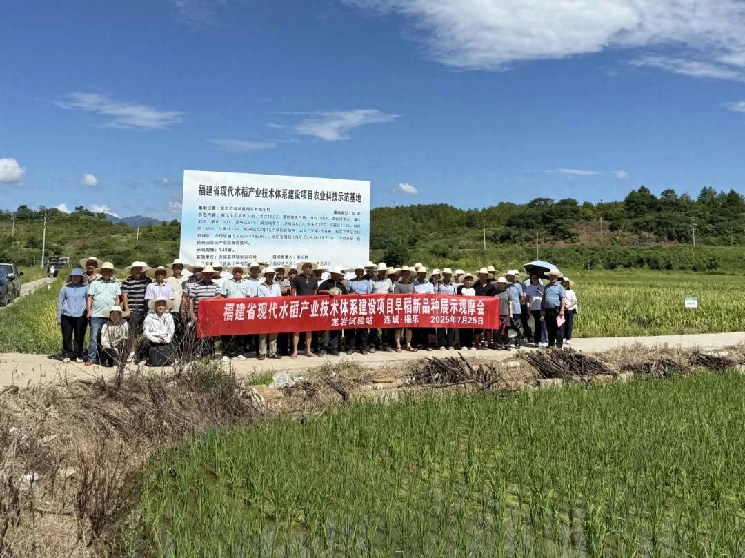 【聚力鄉(xiāng)村全面振興】連城：田間選良種 為豐收“鋪好路”