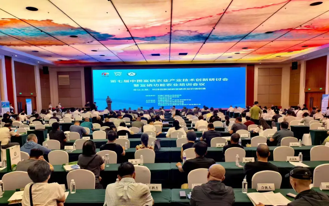暫無圖片