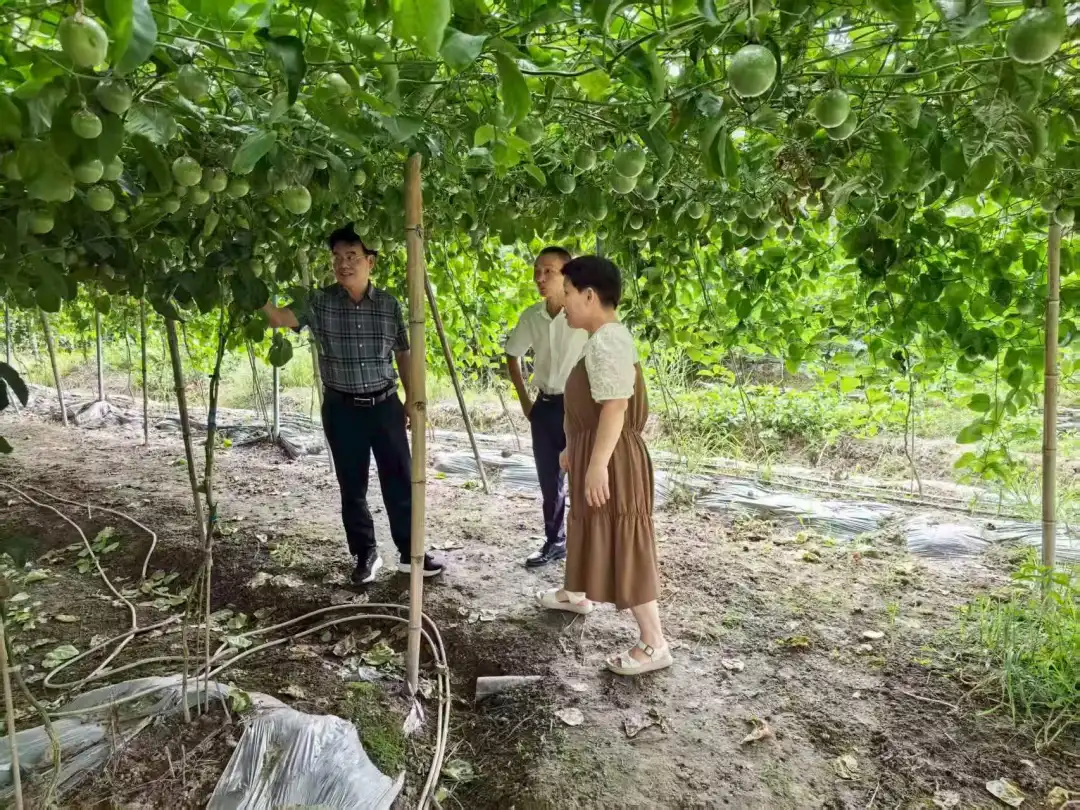暫無圖片