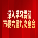 深入學(xué)習(xí)貫徹市委六屆九次全會(huì)